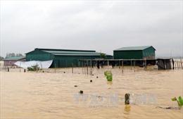 Xuất cấp 1.500 tấn muối ăn hỗ trợ dân vùng ngập Hà Tĩnh