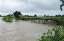 Ninh Thuận dồn lực ứng phó với mưa lũ