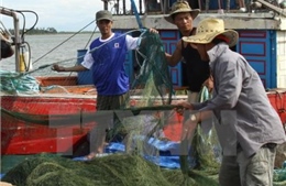 Ngăn chặn tình trạng trộm cắp ngư lưới cụ trên biển 