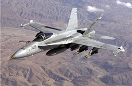 Máy bay F/A-18 của Mỹ rơi ở Nhật, phi công may mắn thoát nạn