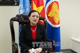 Việt Nam nhấn mạnh tầm quan trọng của UNCLOS tại LHQ 