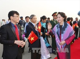 Chủ tịch Quốc hội gặp mặt cộng đồng người Việt Nam tại Ấn Độ