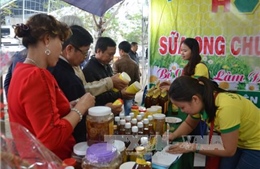 Trên 400 gian hàng tham gia Hội chợ hàng Việt - Đà Nẵng 2016 