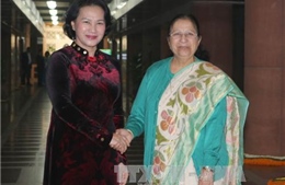 Chủ tịch Quốc hội Nguyễn Thị Kim Ngân hội đàm với Chủ tịch Hạ viện Ấn Độ 