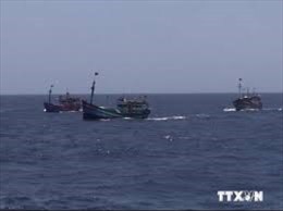 Malaysia bắt giữ tàu cá cùng 12 ngư dân Việt Nam 