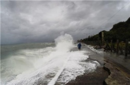 Các tỉnh Nam Bộ ứng phó với áp thấp nhiệt đới 