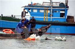 Cứu thành công 13 người trên tàu cá gặp nạn tại khu vực đảo Cồn Cỏ
