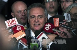 Chủ tịch Thượng viện Brazil bị cáo buộc dính líu bê bối Petrobras