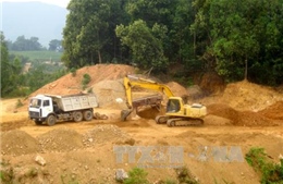 Xử lý sau thanh tra quản lý, sử dụng đất tại Bình Định