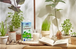 Vinamilk, công ty sữa đầu tiên sản xuất sữa tươi 100% Organic