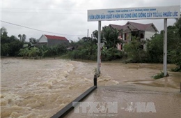 Bình Định di dời gần 1.000 dân vùng ngập lũ đến nơi an toàn 