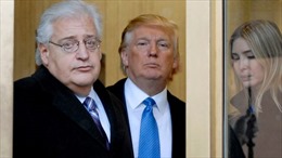 Tổng thống đắc cử Mỹ chỉ định ông Friedman làm Đại sứ tại Israel