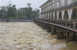 Mưa lụt gây nhiều thiệt hại tại Đà Nẵng 