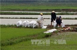 Hơn 27.000 tỷ đồng vốn vay phát triển nông nghiệp nông thôn