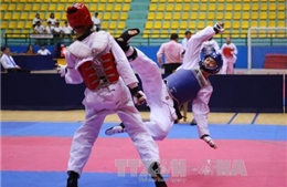 Việt Nam dẫn đầu toàn đoàn Giải Taekwondo quốc tế