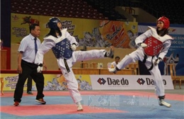 Luật thi đấu mới tại giải đồng đội cúp Liên đoàn Taekwondo Việt Nam 