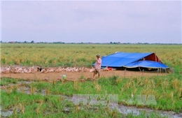 Bạc Liêu chậm giải ngân vốn xây dựng cơ bản