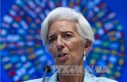 Tổng Giám đốc IMF bị xác định mắc tội "tắc trách"