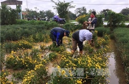 Bắc Bộ nắng ấm, ngập lụt ở Trung Bộ giảm dần 