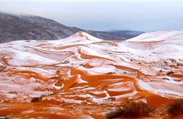 Ngắm tuyết rơi trên sa mạc Sahara đẹp “mê li”