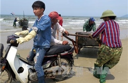 Thị trường hải sản Hà Tĩnh “tăng nhiệt” trở lại