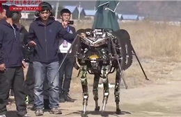 Lộ diện robot chiến đấu “lai động vật” của Trung Quốc