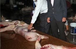 Bắt quả tang cơ sở giết mổ lợn không đảm bảo an toàn