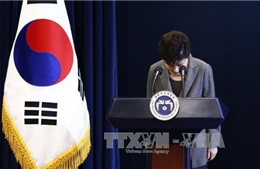 Hàn Quốc yêu cầu bà Park Geun Hye làm rõ hoạt động trong ngày chìm phà Sewol