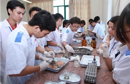 Phát triển các trường đại học, cao đẳng ngoài công lập