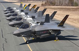 Tổng thống đắc cử Mỹ tìm giải pháp thay thế chiến đấu cơ F-35