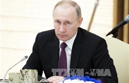 Tổng thống Putin khẳng định kinh tế Nga đang dần phục hồi