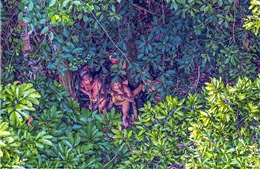 Hình ảnh hiếm về bộ lạc sống như thời tiền sử