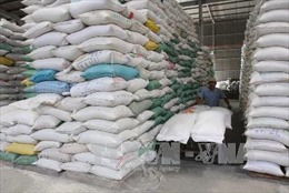 Hỗ trợ khẩn cấp 2.000 tấn gạo cho người dân vùng ngập lũ Bình Định