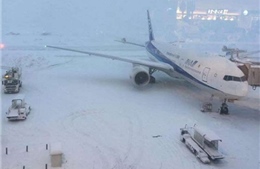 Hàng nghìn người kẹt tại sân bay Nhật Bản do thời tiết xấu