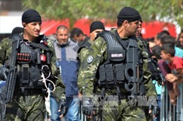 Tunisia lo đối phó các tay súng thánh chiến hồi hương 