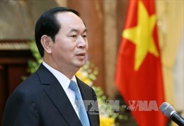 Chủ tịch nước Trần Đại Quang gửi điện thăm hỏi về vụ máy bay TU-154 của Nga gặp nạn