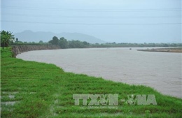 Cấp phát 400 tấn lúa giống cho người dân Ninh Thuận sau mưa lũ