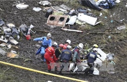 Rơi máy bay ở Colombia làm 71 người chết: Hộp đen tố lỗi phi công