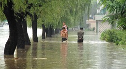 Viện trợ cho Triều Tiên khắc phục hậu quả lũ lụt