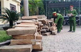 Phát hiện vụ chở gỗ lậu với khối lượng lớn