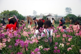 Vườn hoa bãi đá sông Hồng: Điểm du lịch hấp dẫn dịp nghỉ lễ