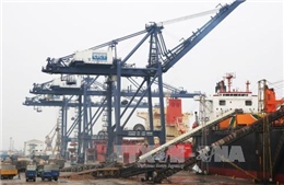 Cảng Cái Lân xếp dỡ 200.000 tấn hàng đầu tiên năm 2017 