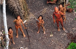 Tổ chức đoàn thám hiểm bảo vệ bộ lạc nguyên thủy biệt lập trong rừng Amazon