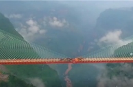 Bạn có dám vượt qua cây cầu cao nhất thế giới?