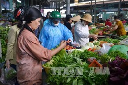 Giá rau ở Kon Tum  tăng, giảm thất thường