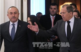 Ấn định ngày hòa đàm về Syria tại Astana 