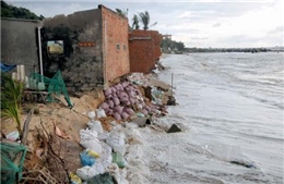 Hỗ trợ tỉnh Bình Thuận 180 tỷ đồng xây dựng bờ kè ngăn sạt lở bờ biển