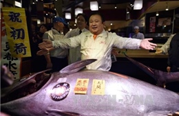 Ông chủ nhà hàng sushi chịu chơi, chi 14 tỷ đồng mua cá ngừ quý hiếm