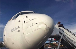Boeing 737 "toét đầu" vì thiết bị bay không người lái