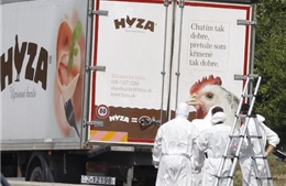 19 người tị nạn bị bỏ rơi trong xe hàng dưới cái lạnh -20 độ ở Đức